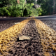 Image for article titled 76 Stunning Photos Of Fall Leaves